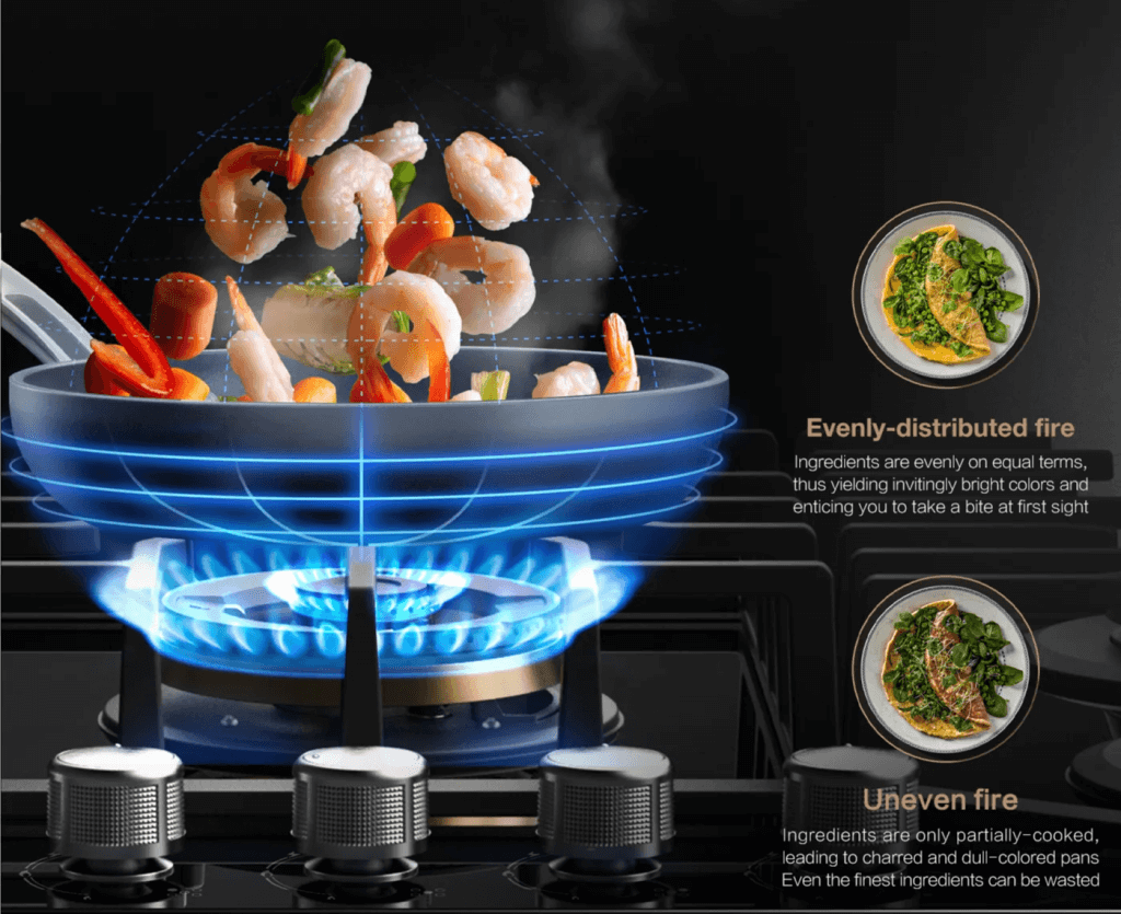 Premium gas stove